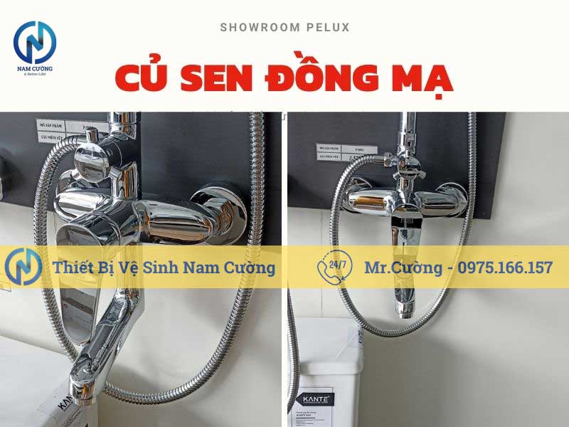 Bộ sen cây tắm nóng lạnh p-s002