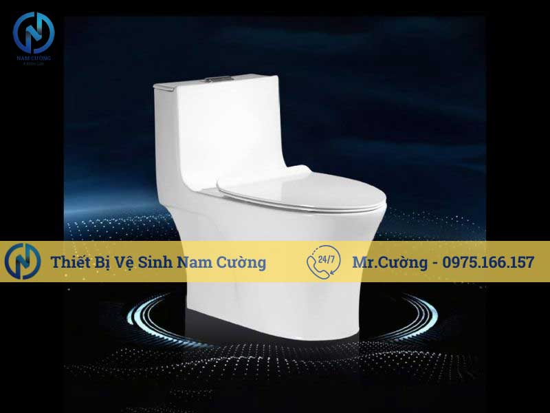 Bồn cầu 1 khối