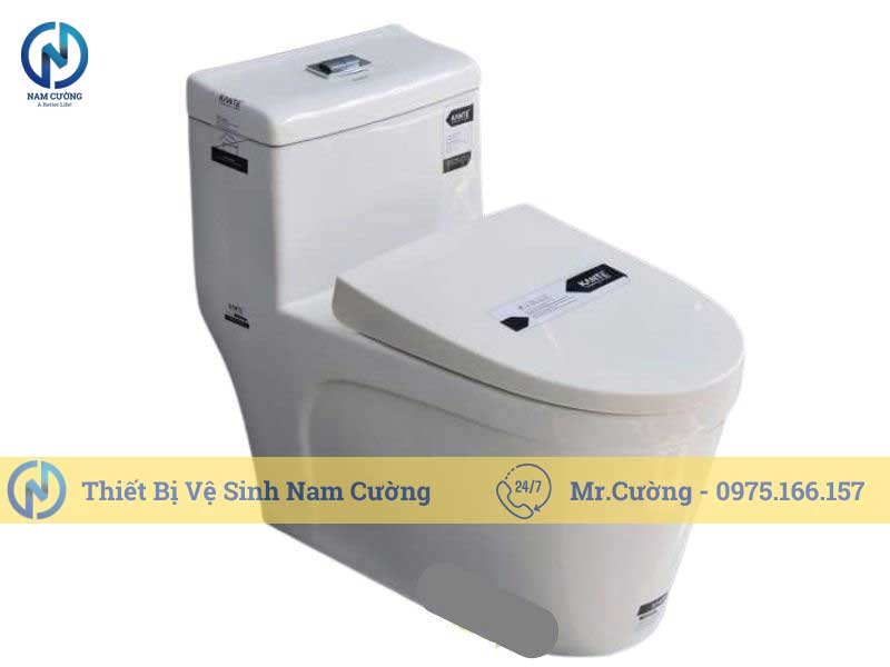 Bồn cầu 1 khối 8860