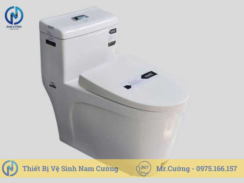 Bồn cầu 1 khối 8861