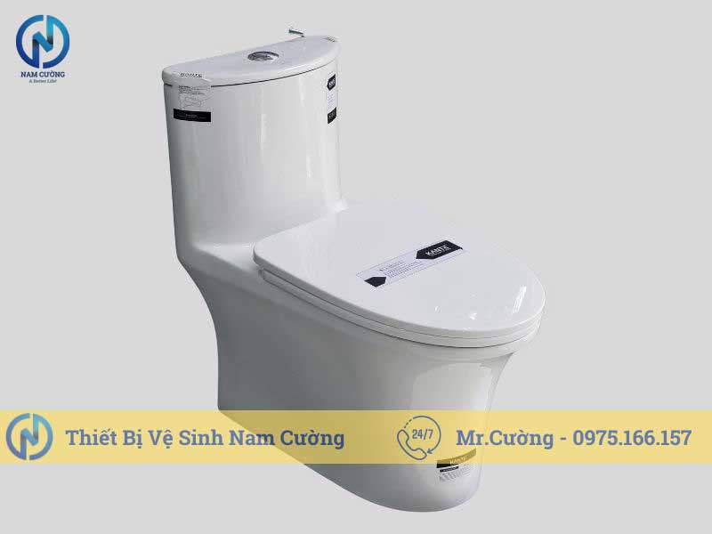 Bồn cầu 1 khối 8863