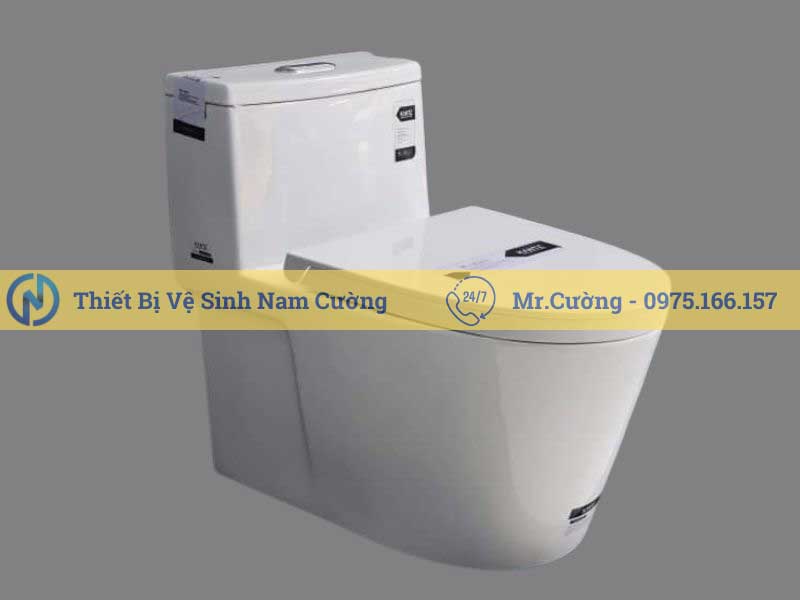 Bồn cầu 1 khối 8875