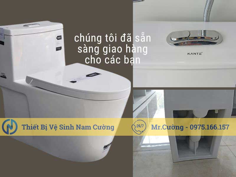 Bồn cầu 1 khối 8875