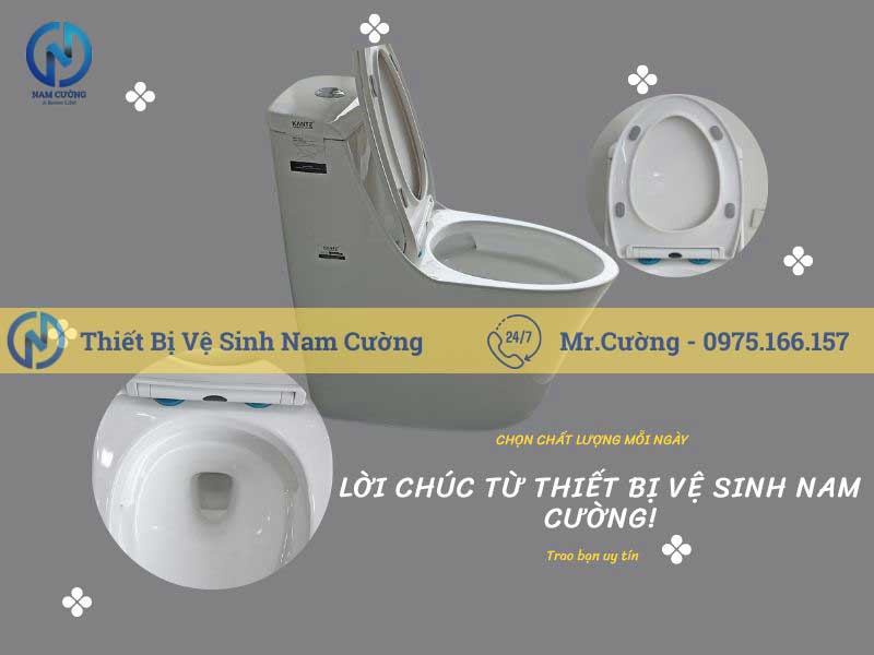 Bồn cầu 1 khối 8883