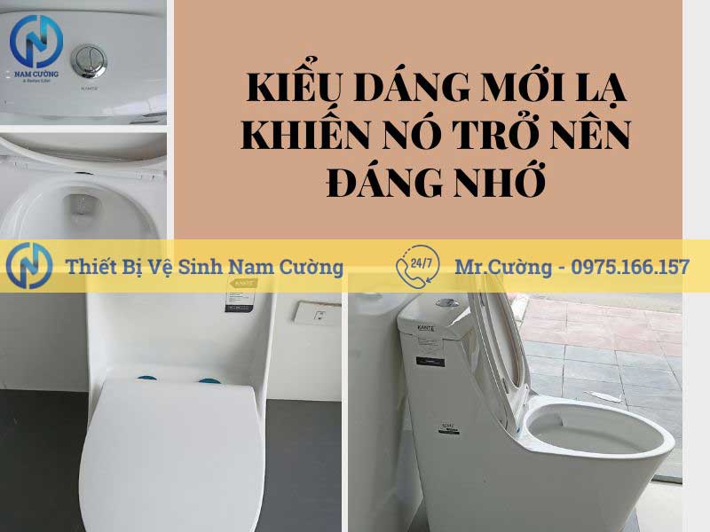 Bồn cầu 1 khối 8883