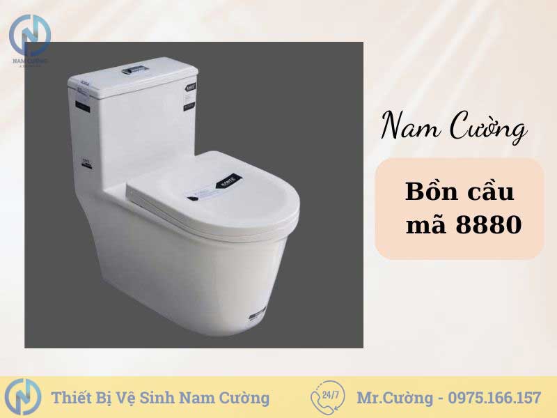 Bồn cầu giá rẻ tại Thái Bình