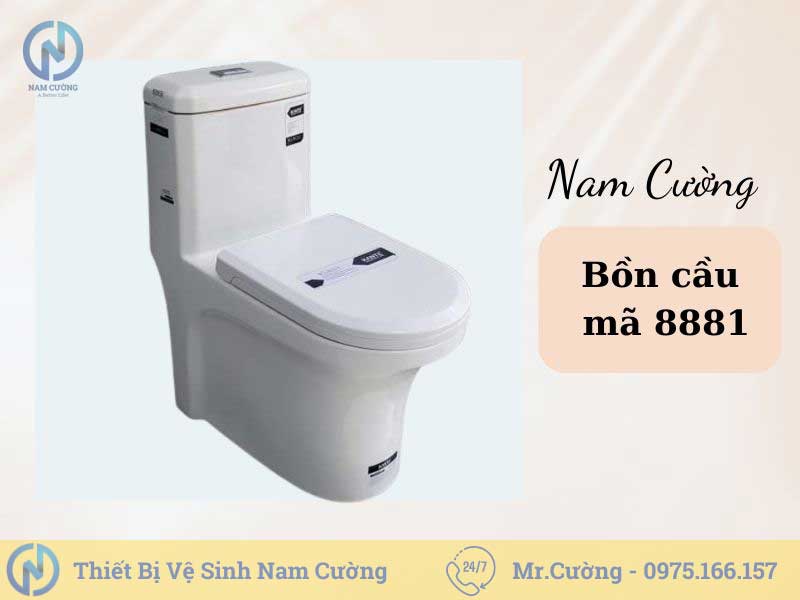 Bồn cầu giá rẻ tại Thái Bình