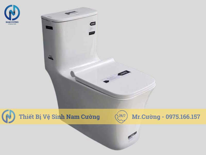 Bồn cầu một khối 8885