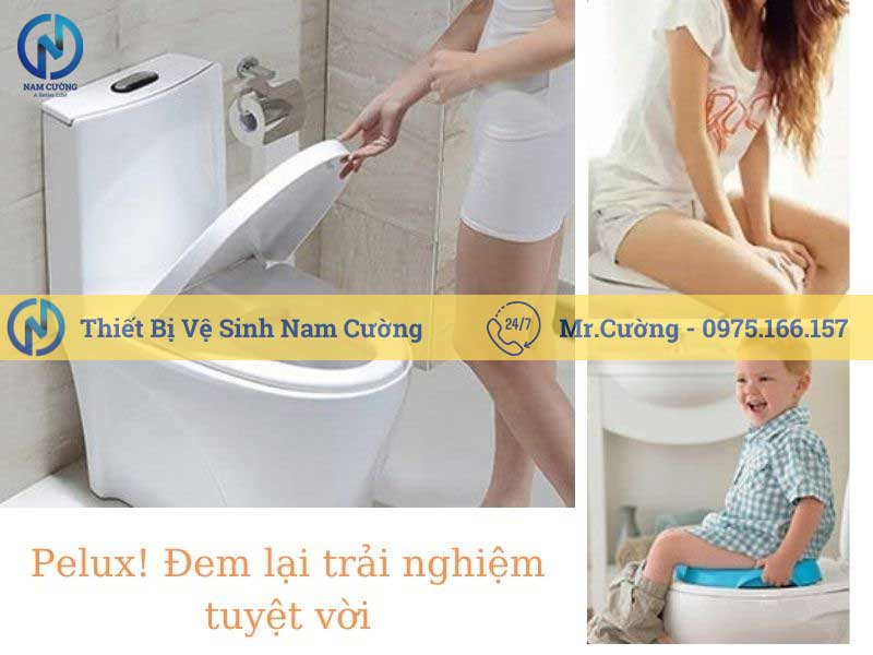 Bồn cầu ngồi bệt