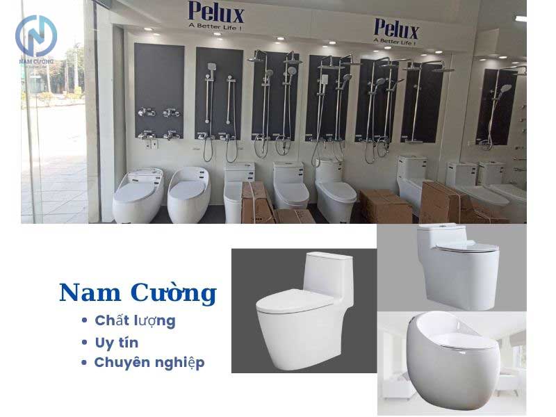 Bồn cầu tại Quỳnh Phụ Thái Bình