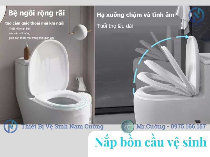 Cách tháo nắp bồn cầu