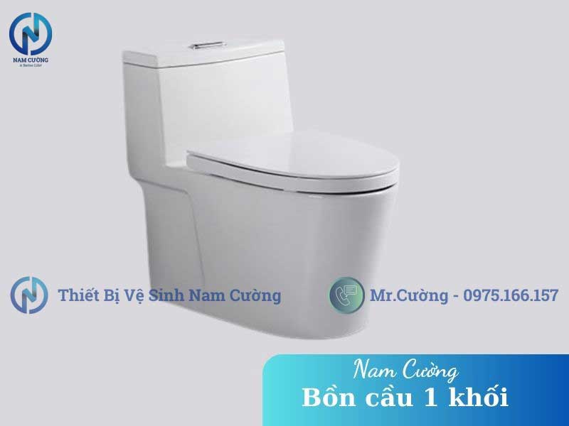 Cấu tạo bồn cầu 1 khối