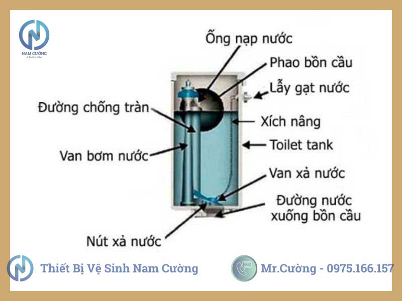 Cấu tạo bồn cầu 1 khối