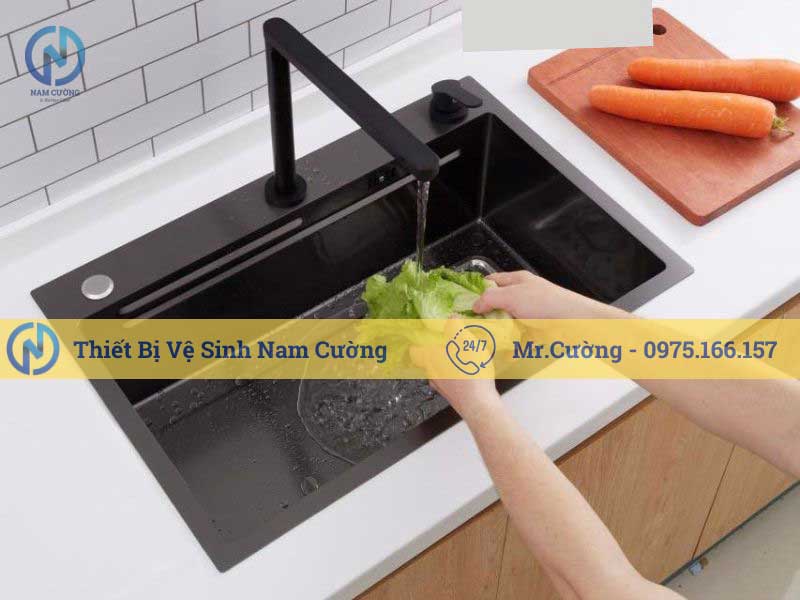 Chậu rửa bát đơn P-CRB04