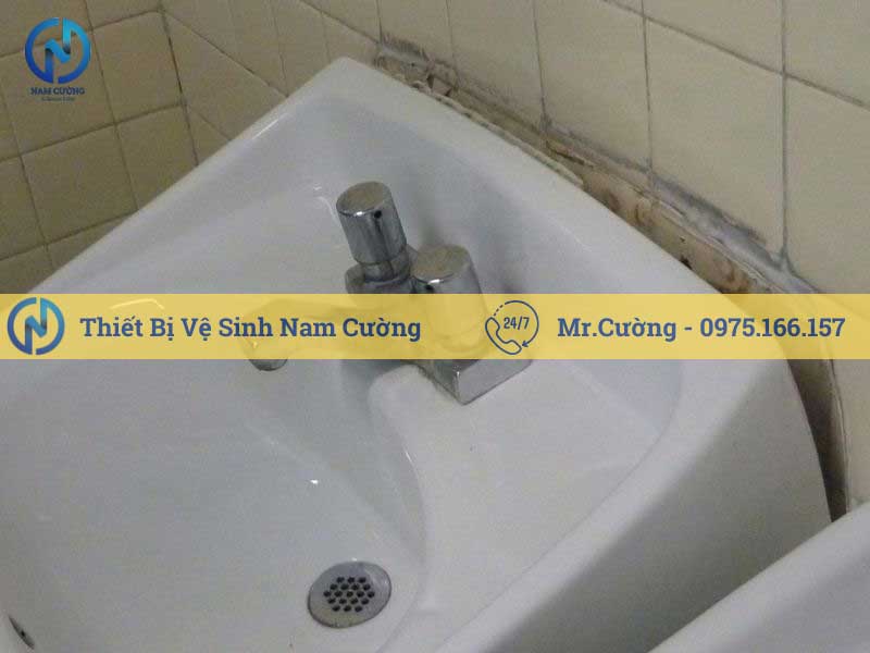 Chậu rửa lavabo