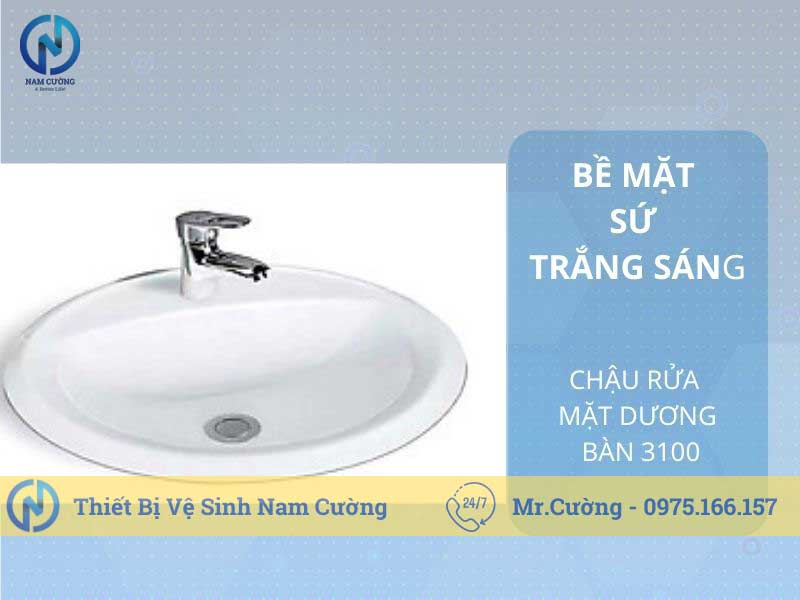 Chậu rửa mặt dương vành 3100