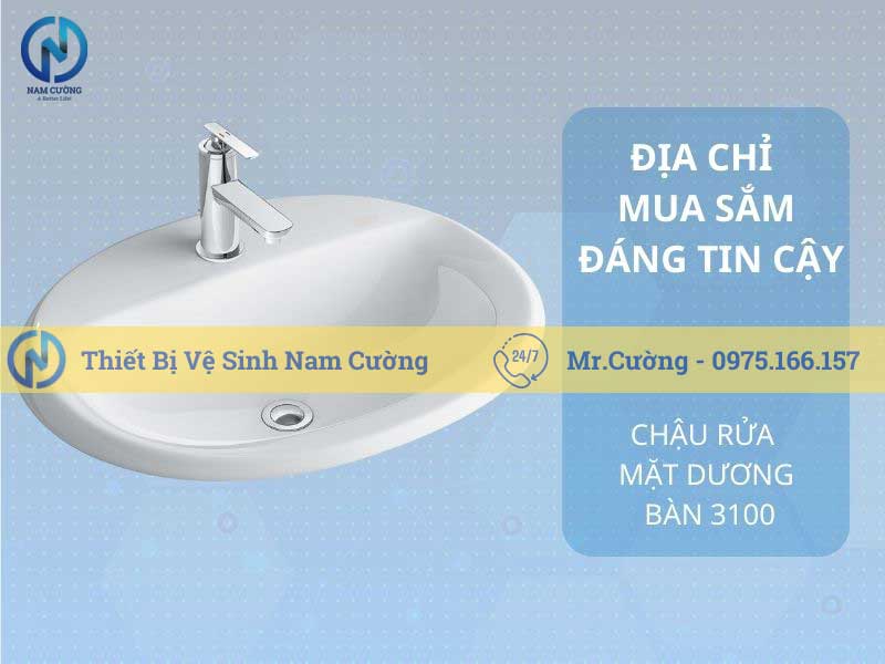 Chậu rửa mặt dương vành 3100