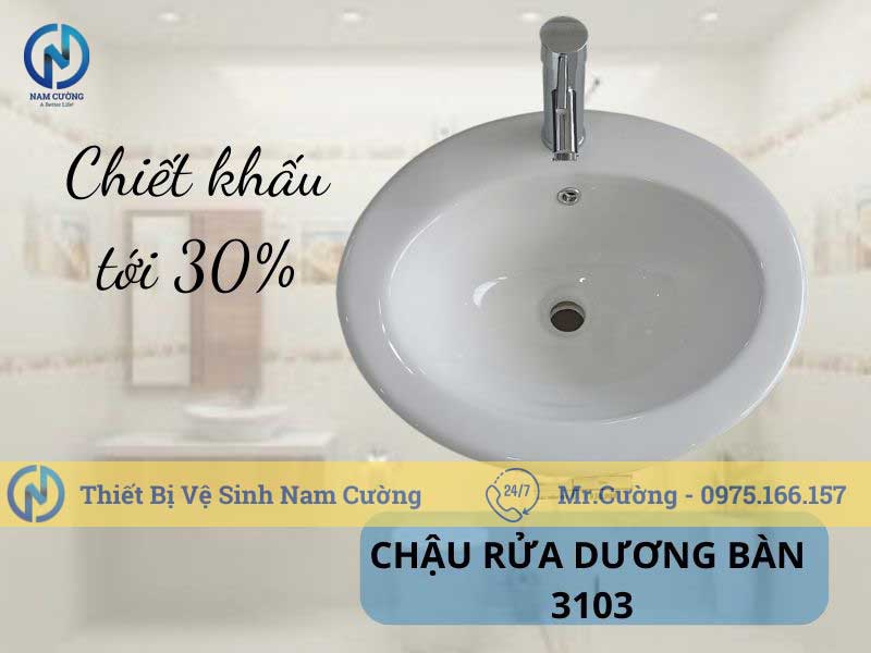 Chậu rửa mặt dương bàn 3103