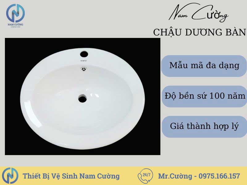 Chậu rửa mặt dương vành