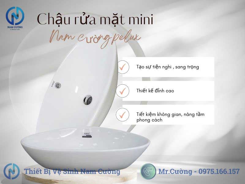 Chậu rửa mặt mini