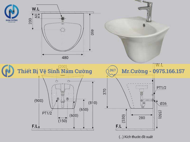 Chậu rửa mặt treo tường 3113A