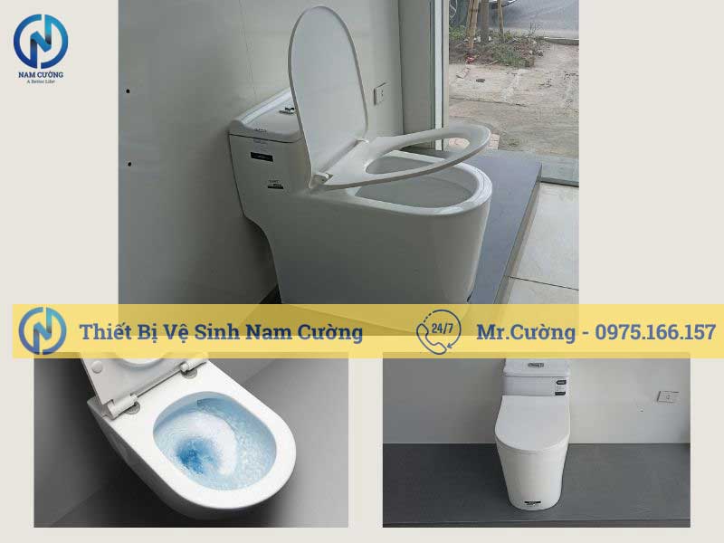 Bồn cầu vệ sinh mang đến tính tiện nghi và sang trọng cho không gian phòng tắm