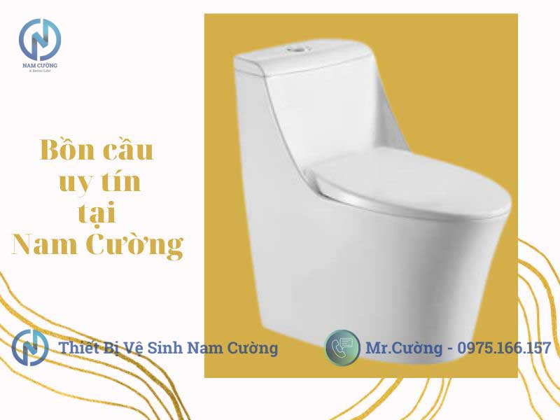 Kích thước bồn cầu tiêu chuẩn